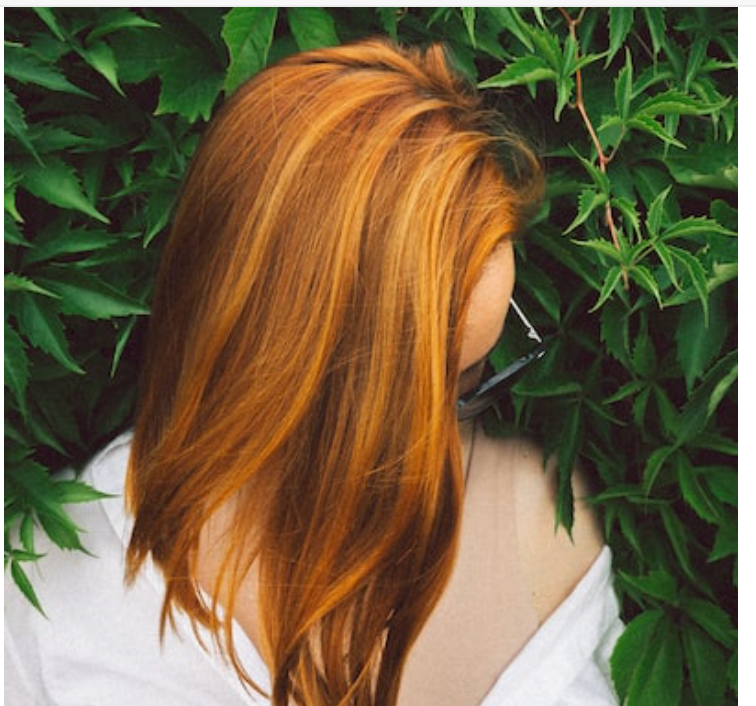 Book A Hair Appointment In Boston Schedule Now noellesalon