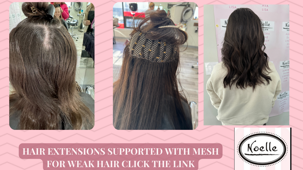 Mesh Integration Hair Extension System: The Complete Guide – noellesalon