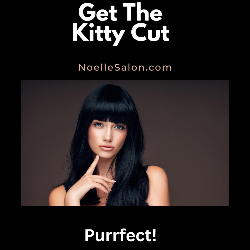 2024's Hottest Kitty Haircut Trends Boston, Massachusetts