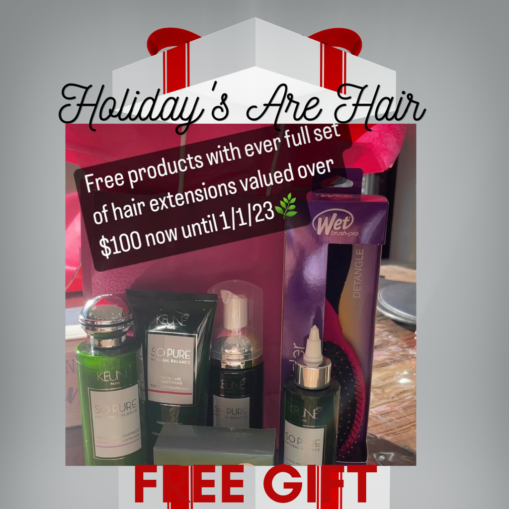 Free Holiday Deal Hair Extensions Care Products Over $100 Value