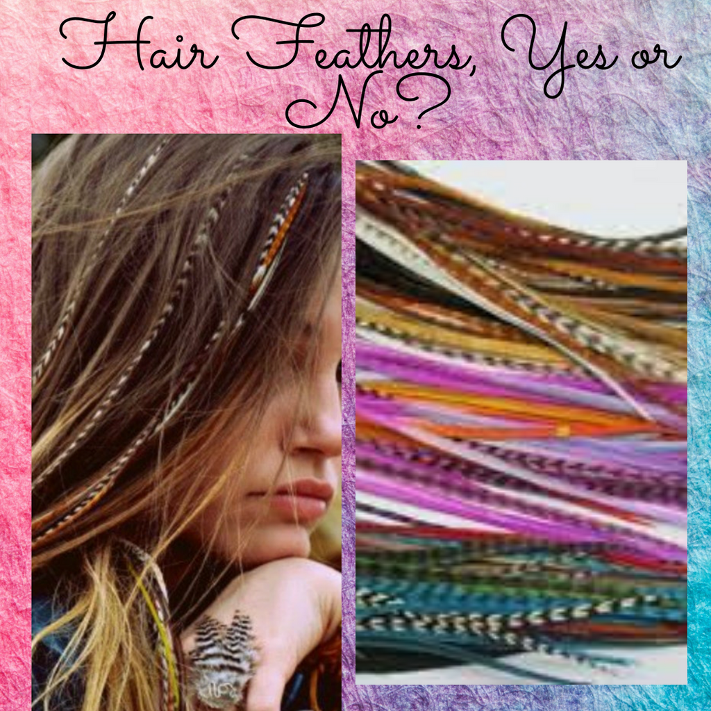 Feather Hair Extensions Yes Or No? – noellesalon