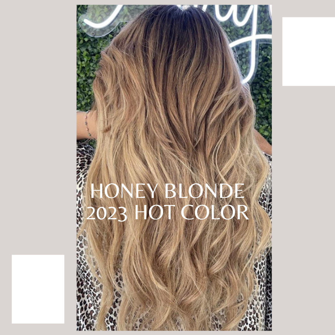 https://noellesalon.com/cdn/shop/articles/HoNEY_Blonde_2023_Hot_Color_1080x.png?v=1675618569