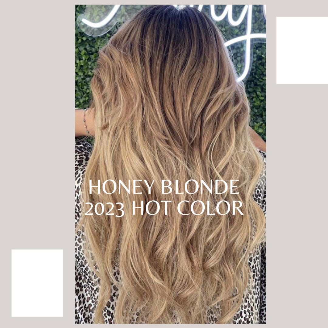 honey blond hair color