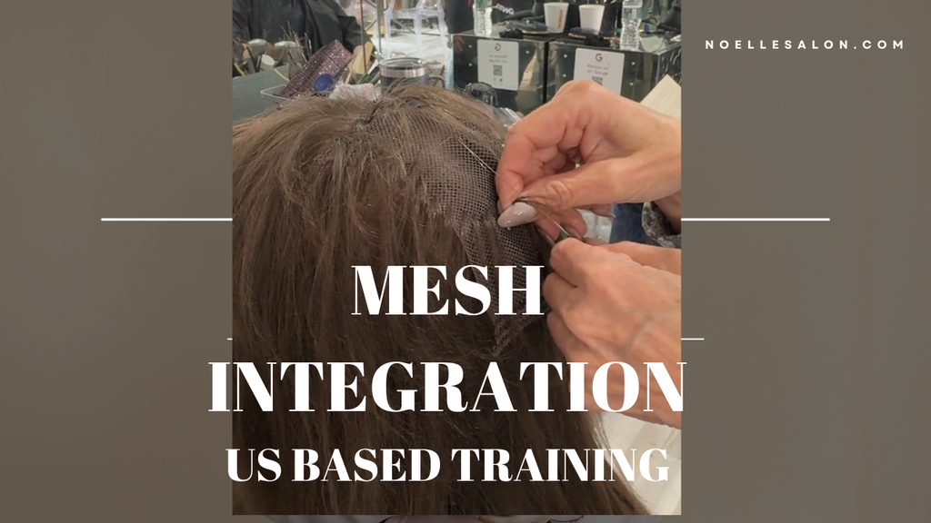 Master Mesh Integration Hair System Training Techniques